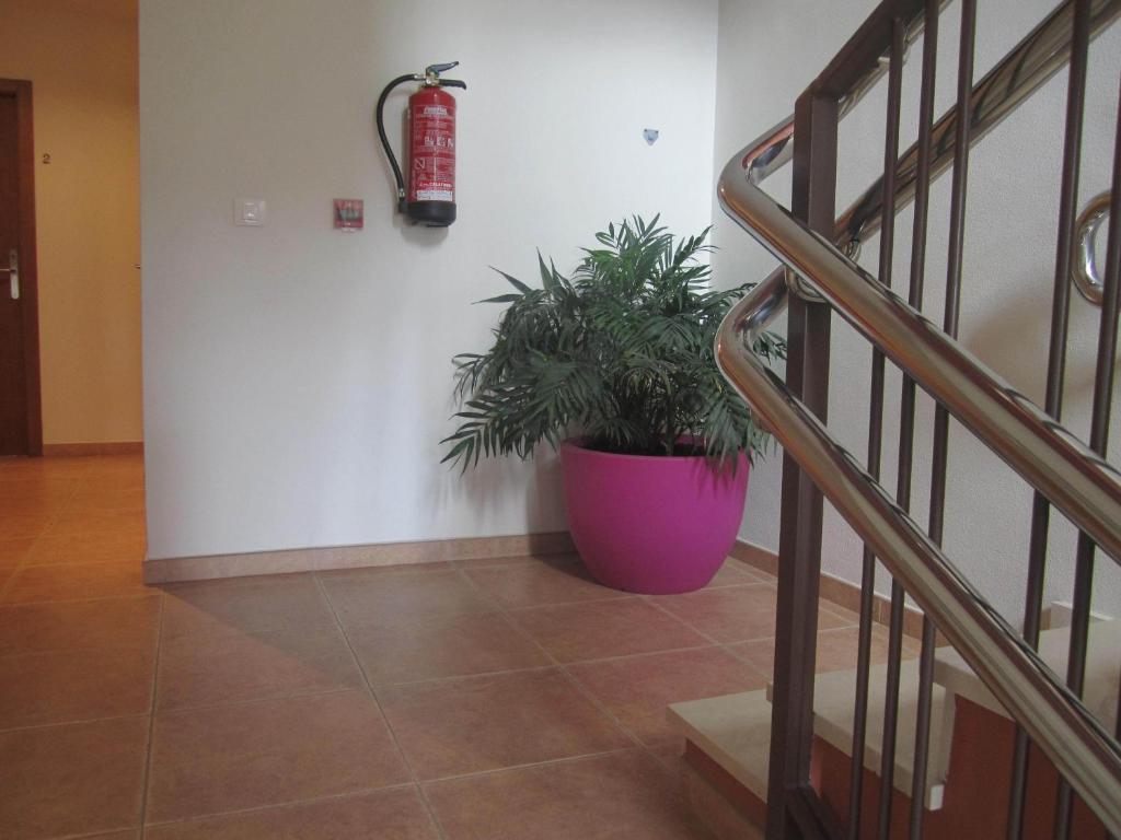 Hostal El Estudio Almansa Exterior photo